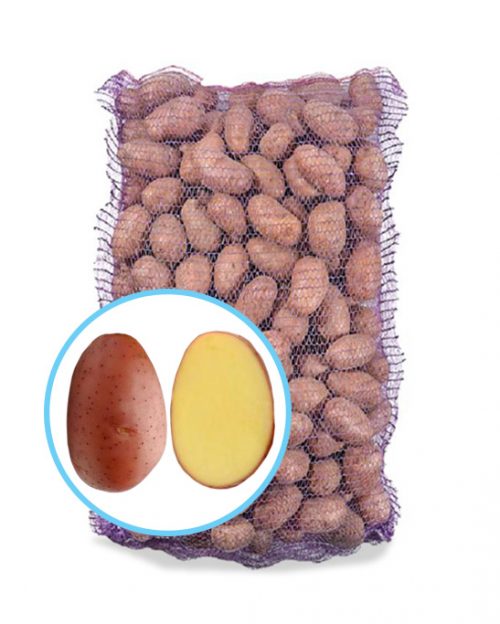 Семенной картофель Ред Леди Семенной картофель Ред Леди