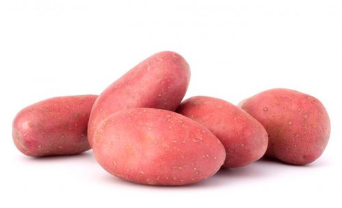 potato_red_lady_1