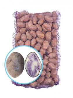 Семенной картофель Марфуша