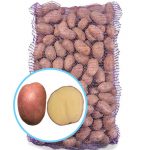 Семенной картофель Княгиня