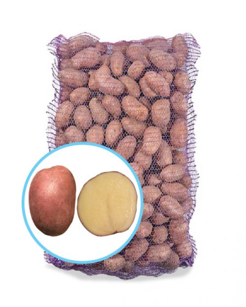 Семенной картофель Княгиня Семенной картофель Княгиня