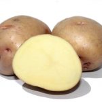 Семенной картофель Княгиня