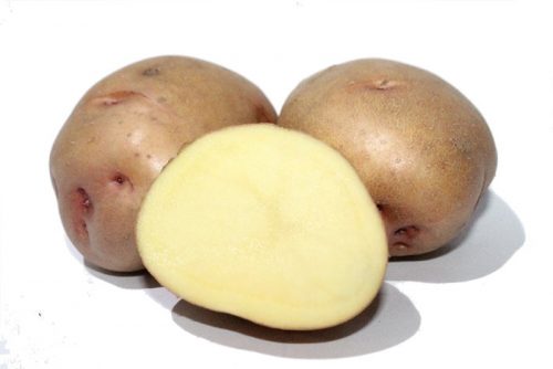 Семенной картофель Княгиня Семенной картофель Княгиня