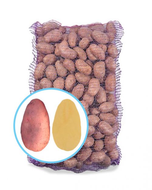 Семенной картофель Славянка Семенной картофель Славянка