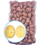 Семенной картофель Сорая