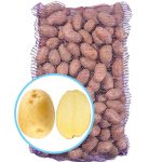 Семенной картофель Коломбо