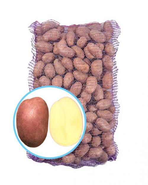 Семенной картофель Мирослава Семенной картофель Мирослава