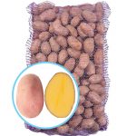 Семенной картофель Ред Фентези