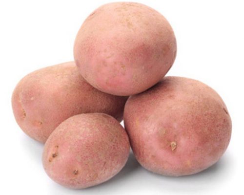 potato_red_fantasy_1