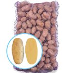 Семенной картофель Прада