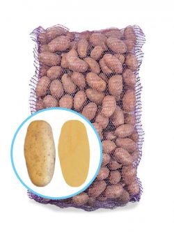 Семенной картофель Прада