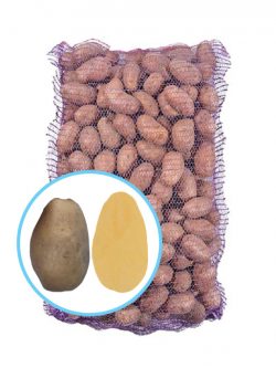 Семенной картофель Панянка
