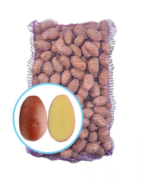 Семенной картофель Ажур Семенной картофель Ажур