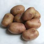 Насіннєва картопля Ажур