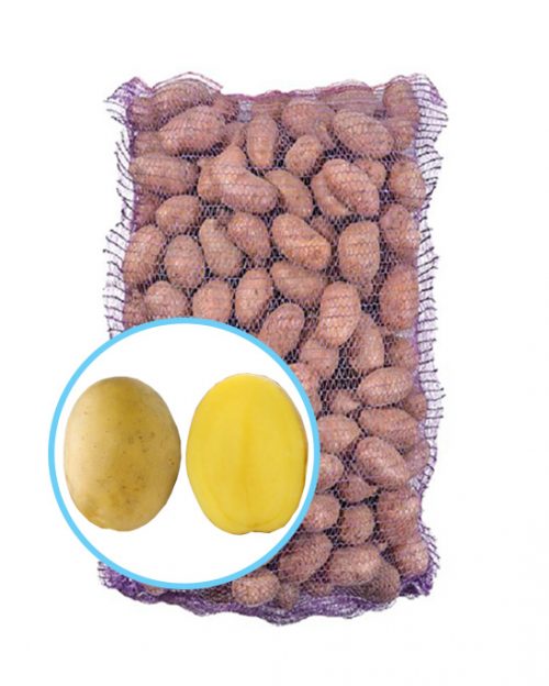 Семенной картофель Бельмонда Семенной картофель Бельмонда