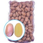 Семенной картофель Санибель