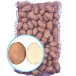 Семенной картофель Фотиния