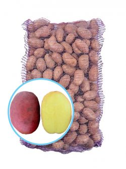 Семенной картофель Балтик Роуз
