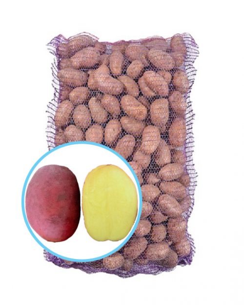 Семенной картофель Балтик Роуз