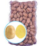 Семенной картофель Мелоди