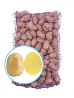 Семенной картофель Мелоди