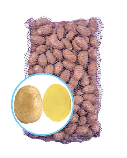 Семенной картофель Мелоди Семенной картофель Мелоди