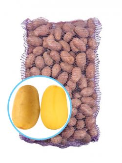 Семенной картофель Саншайн