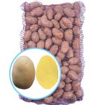 Семенной картофель Эстрелла