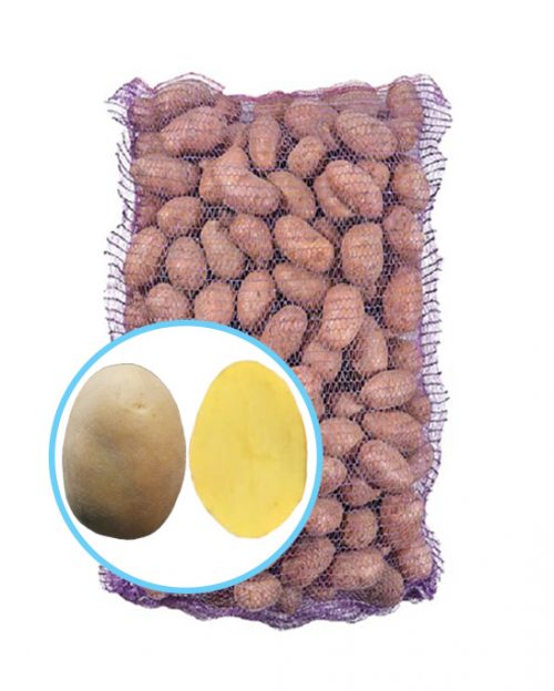 Семенной картофель Эстрелла Семенной картофель Эстрелла