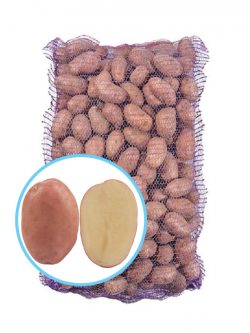 Семенной картофель Барна