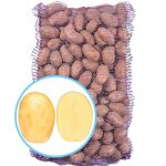 Семенной картофель Командо