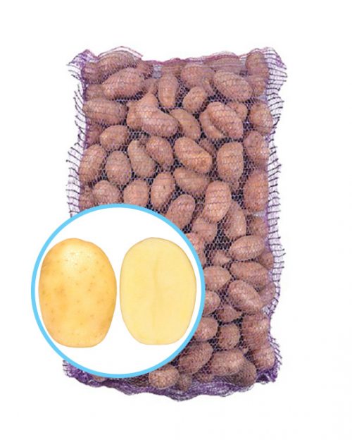 Семенной картофель Командо Семенной картофель Командо