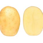 Семенной картофель Командо