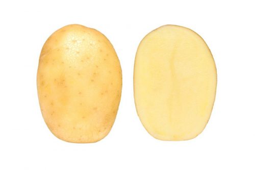 Семенной картофель Командо Семенной картофель Командо