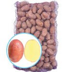 Семенной картофель Лаура