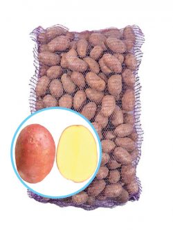 Семенной картофель Лаура