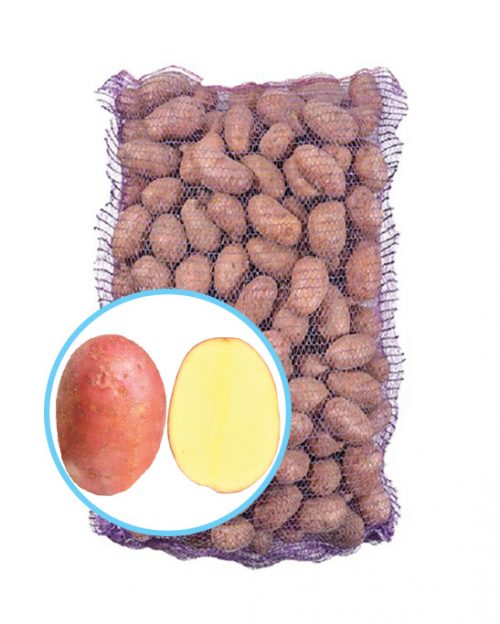 Семенной картофель Лаура Семенной картофель Лаура