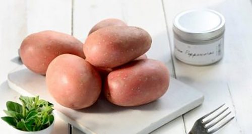 Семенной картофель Лаура Семенной картофель Лаура