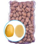 Семенной картофель Винета