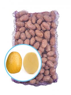 Семенной картофель Винета