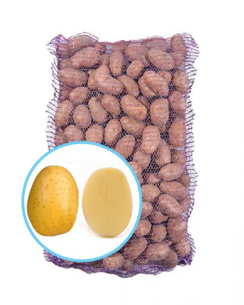 Семенной картофель Винета Семенной картофель Винета