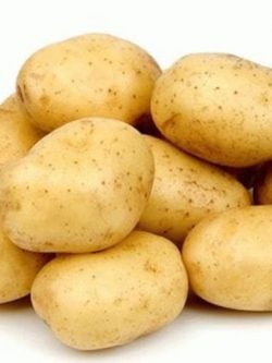 Семенной картофель Винета