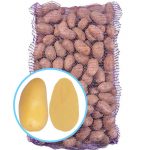 Семенной картофель Эммануэль