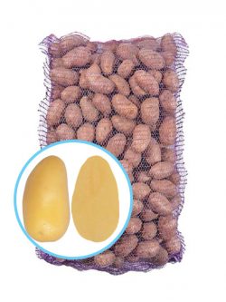 Семенной картофель Эммануэль