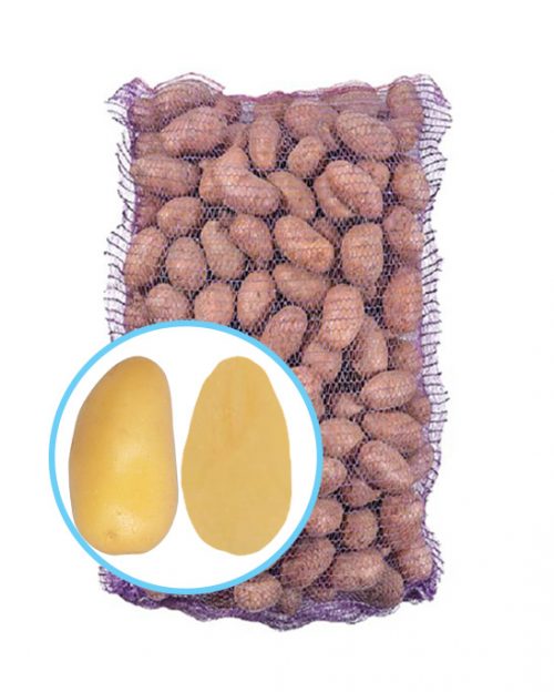 Семенной картофель Эммануэль Семенной картофель Эммануэль