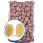 Семенной картофель Джелли