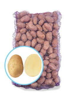 Семенной картофель Медея