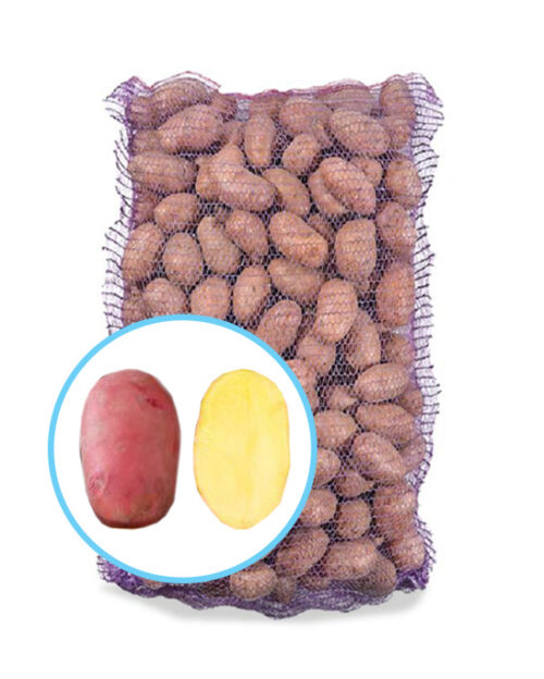 Семенной картофель Рикарда Семенной картофель Рикарда