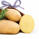 Семенной картофель Джелли