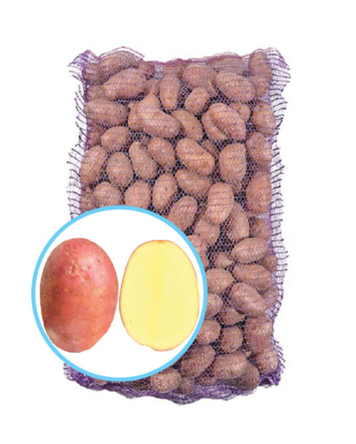 Семенной картофель Эсми